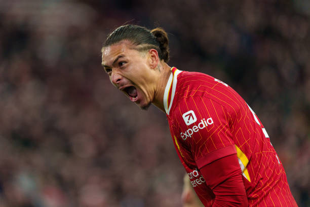 表示胜利归 表示胜利归