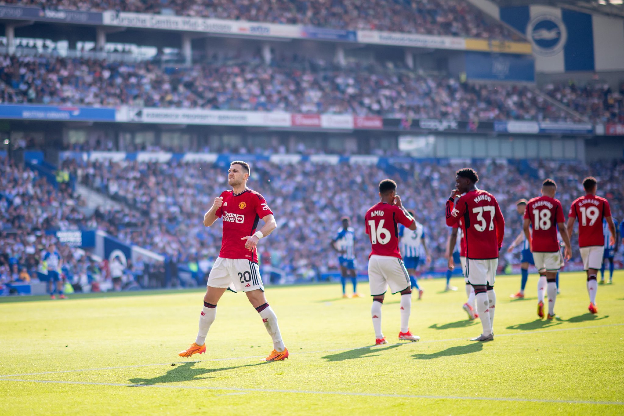 展示出他们 展示出他们