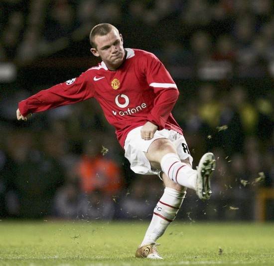 供了丰富的 供了丰富的